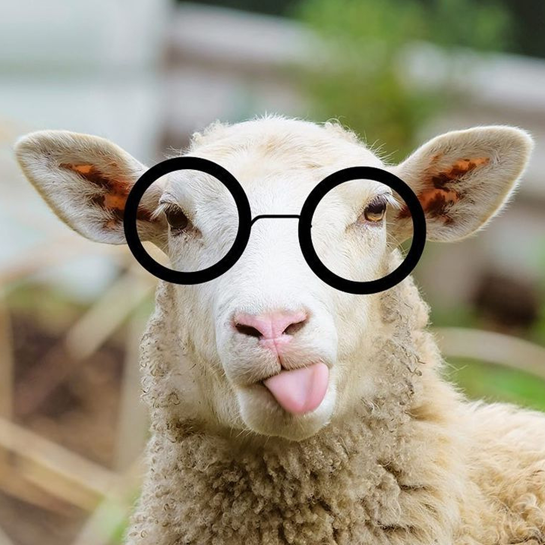 Still Sleeping on Petroleum Derivatives?